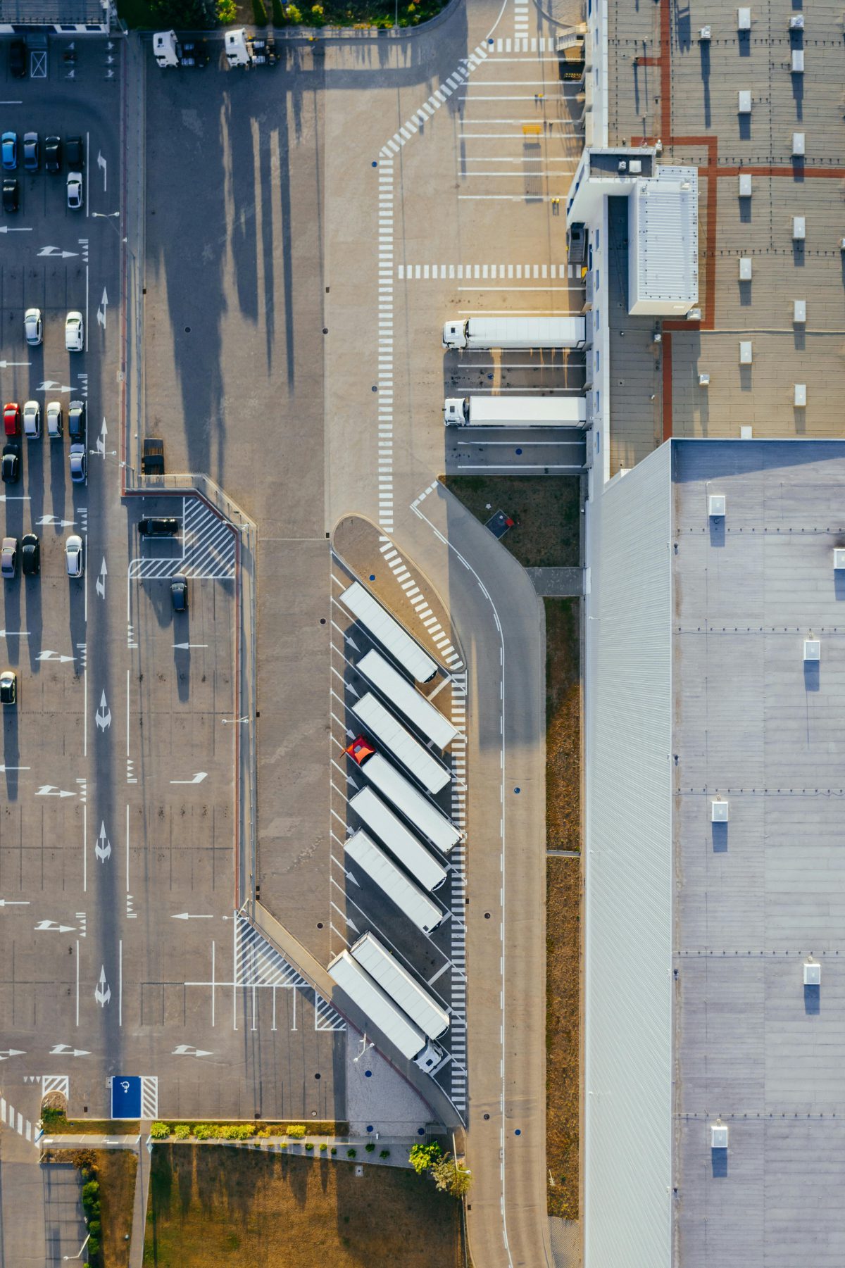 Beluga Prime Selection