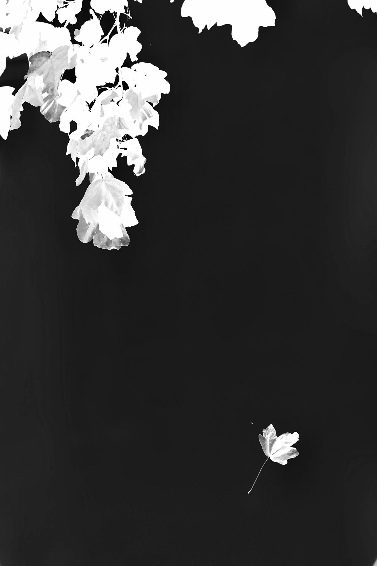 Am Ende wird alles gut und wenn es nicht gut ist, dann ist es trotzdem das Ende